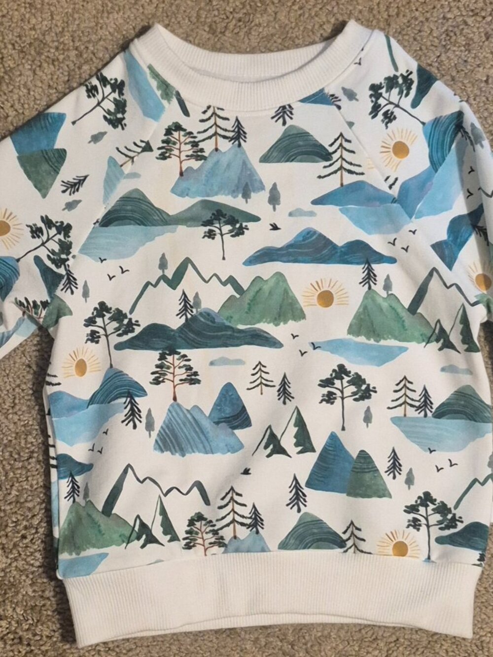 2t Little Sleepies Mountain Crewneck